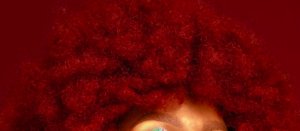 The top of an afro hairdo colored a deep burgundy red.